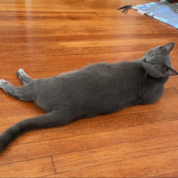 Meet your Posher, Allison - Picture 6 of 8